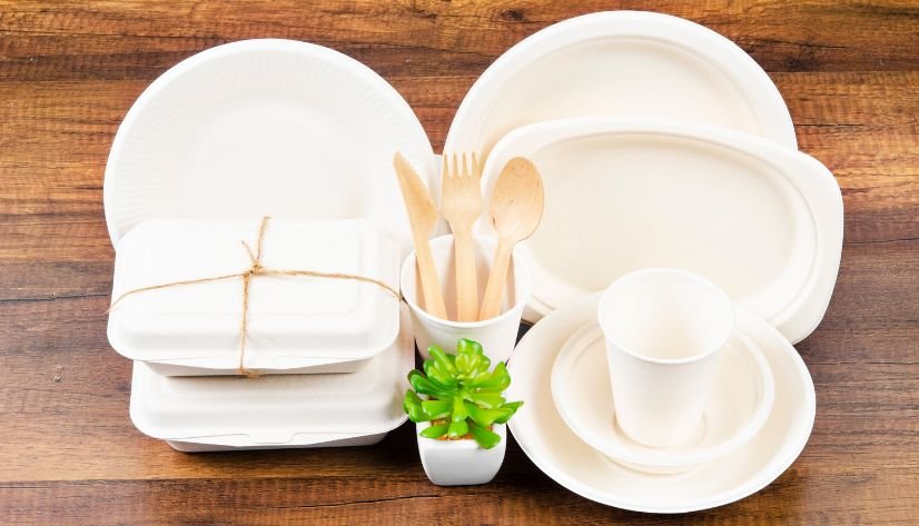 Bagasse Packaging Dubai UAE